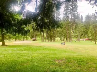 Twain Harte CA Cute Cozy Cabin Sleeps 4, 1 Bedroom, Hot Tub. Hotels in Twain Harte