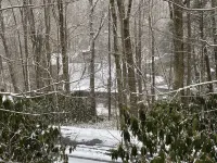 Hike, fish, swim & ski! Close to Grandfather Mountain, skiing & Linville Falls