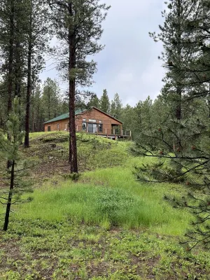 Cozy cabin in the beautiful Black Hills