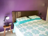 Moo Creek Rainforest hideaway Hotels in Daintree
