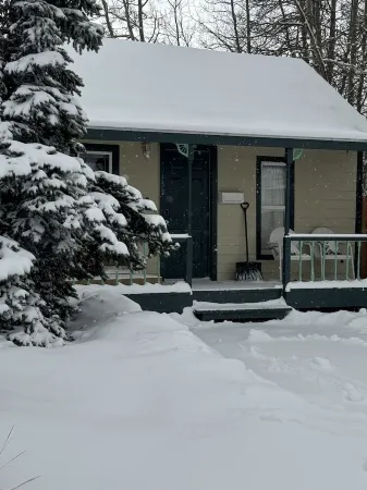 Air Capitol Cottage Leadville -great location-backyard-great for kids & pets