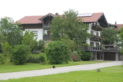 Quiet apartment with a wonderful mountain view