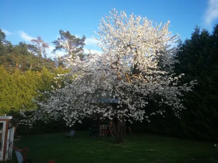 Ferienwohnung/monteurwohnung für 1-4 Personen mit Balkon Отели в г. Нойштадт-Кобург