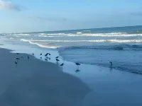 Beach Front 3/3 Located Between Clearwater and St. Pete.  Pool & Spa Are Open.