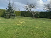 Rental Cottage St Merd La Breuille - Country House.