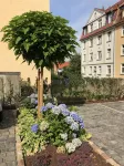 Comfortable, quiet, central: boutique apartment near a mountain park and ICE train station Hotell i Bad Wilhelmshöhe