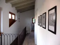 Capriva Del Friuli: House / Villa - Capriva del Friuli