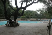 Oceanfront property - Pool