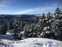 Philipsburg Franklin Mountain Cabin Hoteles en Condado de Granite