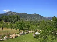 Rural tranquillity at the foot of the Tramuntana, pool with panoramic views