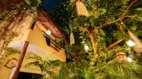 Hotel Colibri Beach Hotels in Playa del Carmen