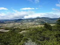 Studio flat and swimming pool, surrounded by vines in the heart of Provence