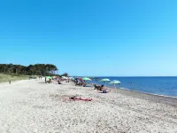 Palazzeta IV