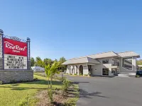 Red Roof Inn Kissimmee Hotels in Kissimmee