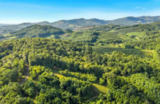 Blue Ridge Parkway / Off-Grid Cabin / Glamping / Turkey Hop Cabin