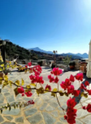 Elaiolithos - Luxury Villa Suites - Adults Only