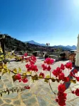 Elaiolithos - Luxury Villa Suites - Adults Only