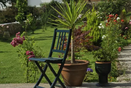 Posada Casa de Don Guzman Отели в г. Альседа