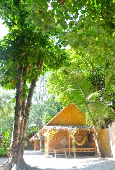 バンガロー フォーラ ダイビング リゾート パタヤ ビーチの写真