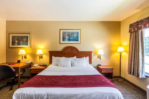 SureStay Plus Hotel by Best Western Mesquite Hotels in Forney