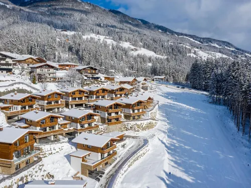 Ornate Chalet in Neukirchen Near Wildkogel Ski Arena