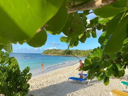 Great Palm View - Apartment 3 in Villa Coconut