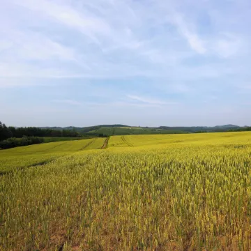 STARRY SKY COTTAGE 17