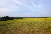 星空小屋 17