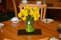 Balnearn House - breakfast