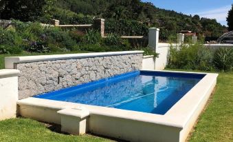 D'Olyfboom Guest House B & B