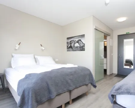 Arnarstapi Hotel Hotels in Arnarstapi