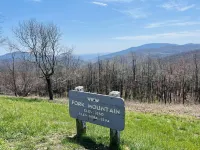 Beautiful new cabins mile off Blue Ridge Parkway in Montebello, VA
