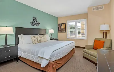 Arcade Room and BBQ Grill Oasis - Stylish Elegant Retreat 인터내셔널 드라이브 호텔