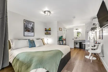 Mountain-view hiker's studio on ground-floor with fast WiFi - dog-friendly