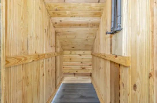 Stunning Waterfront Oasis with Golf Carts - Luxurious Family Retreat