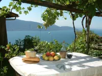 Cozy vacation home w/garden & patio & stunning view of the lake
