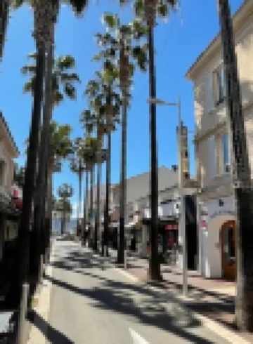 Hôtel de la Pinède