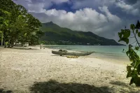 Tropical Hideaway