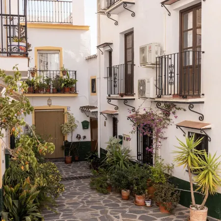 Olive & Ivy Guesthouse