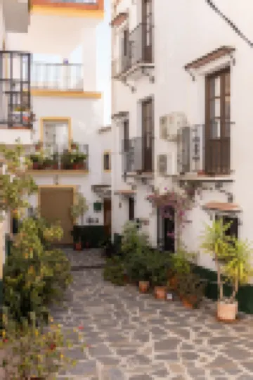 Olive & Ivy Guesthouse