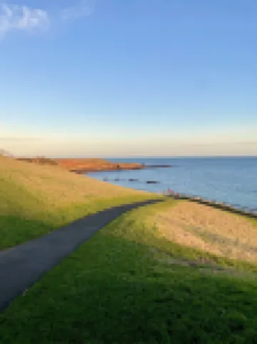 발코미 링크스 호텔