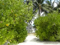 Vaali Maldives Island Escapes & Dive Hotel a 