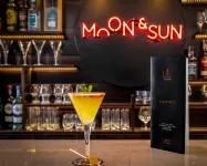 Hotel Moon & Sun Porto - Baarit