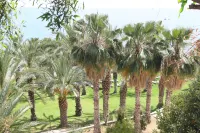 Ascos Coral Beach Hotel - Scenic