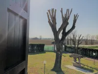 Il Contado -Room and Breakfast- Hotels in Province of Modena