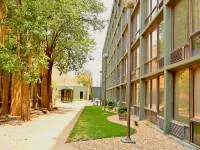 Mcm Elegante Hotel & Suites Lubbock Hotels in Lubbock