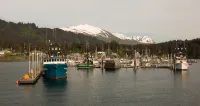 Sea Parrot Inn