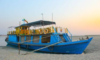 Living Irrawaddy Dolphin Project