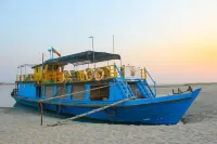 Living Irrawaddy Dolphin Project