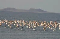 Napak Resort - Campsite